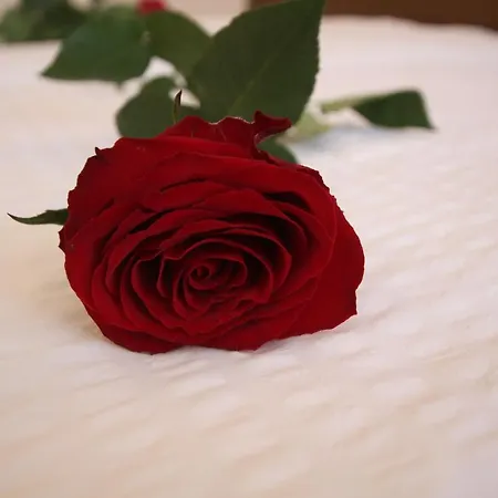 Ausfernerhof * Berwang