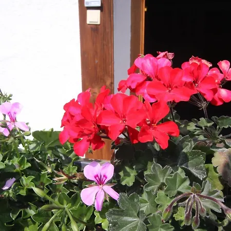 Ausfernerhof Berwang