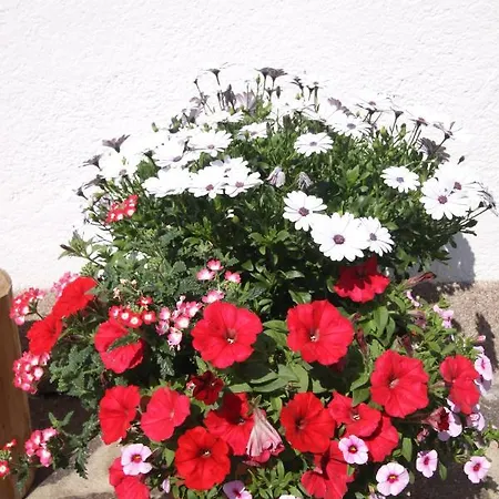 Ausfernerhof Lägenhet Berwang