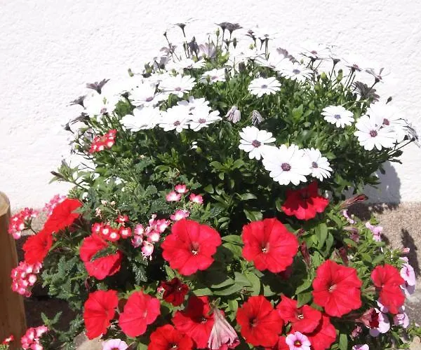 Ausfernerhof Апартаменты Берванг