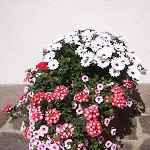 Ausfernerhof