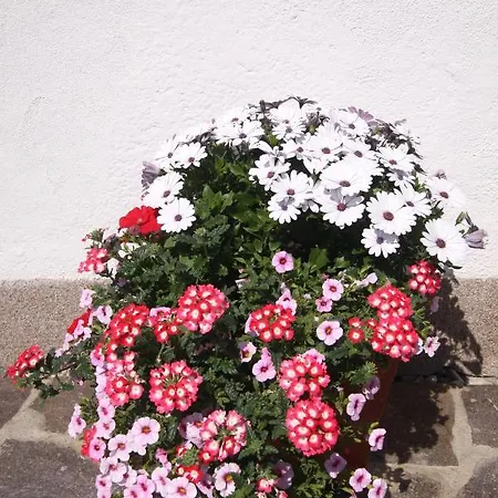 Ausfernerhof