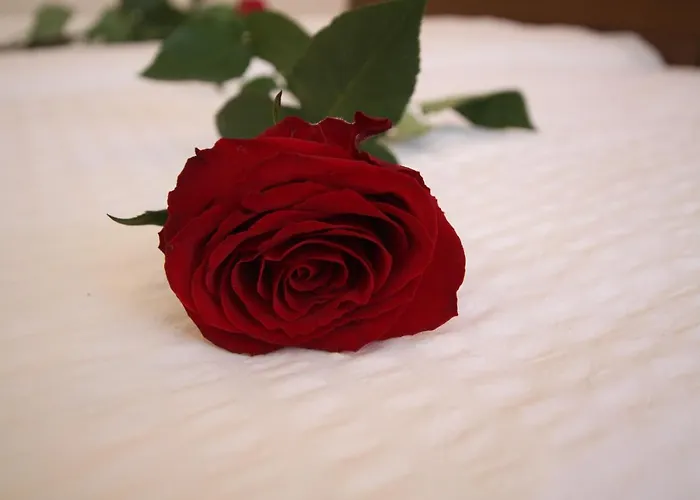 Ausfernerhof * بيروانغ