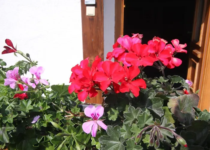 Ausfernerhof بيروانغ